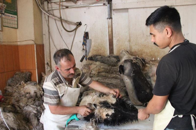 Peynire lezzet katan tulumlar
