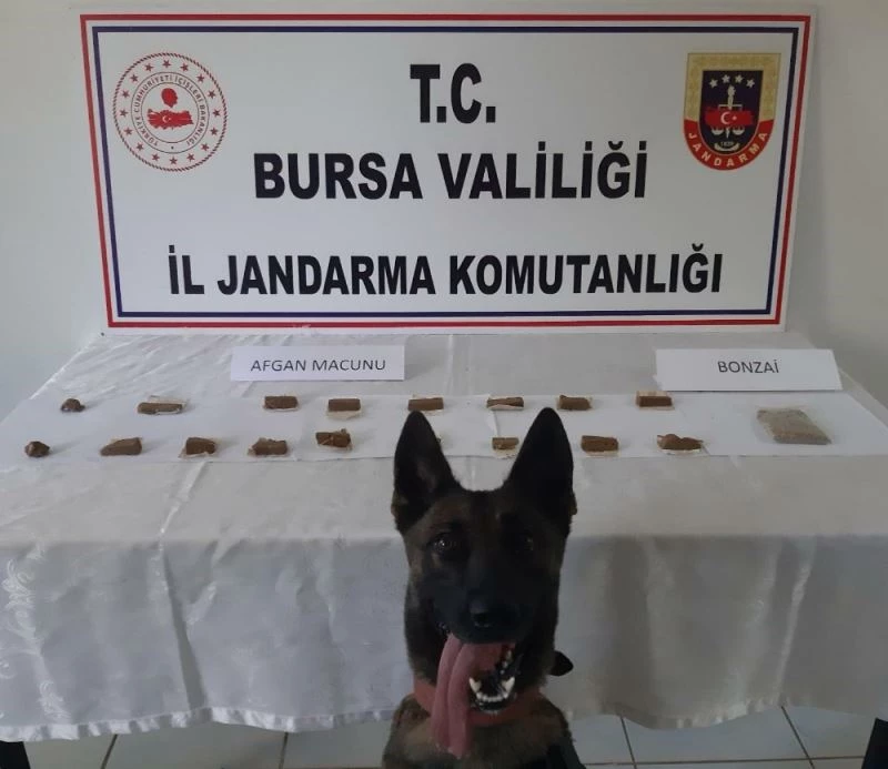 Uyuşturucu satıcısına operasyon
