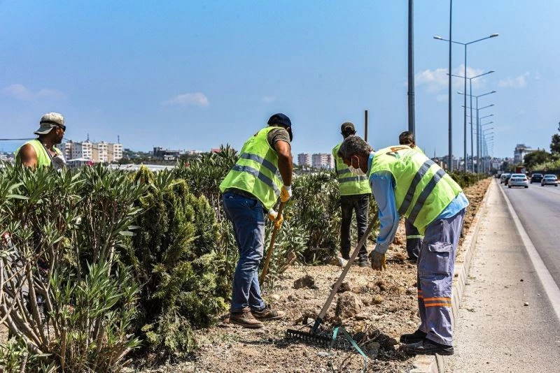 Park ve Bahçeler ekipleri, Erdemli’de refüjleri temizledi

