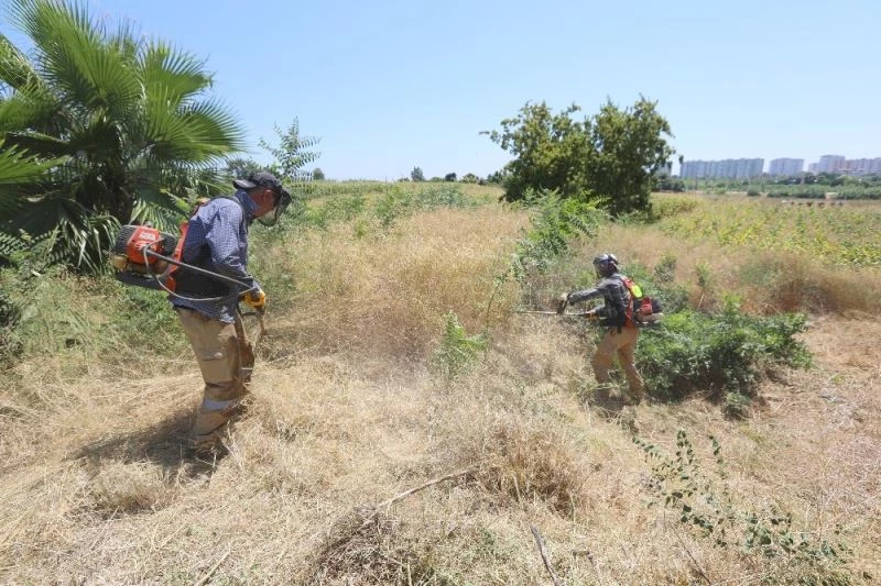 Aratos’un anıt mezarı için kazı çalışmaları başlıyor
