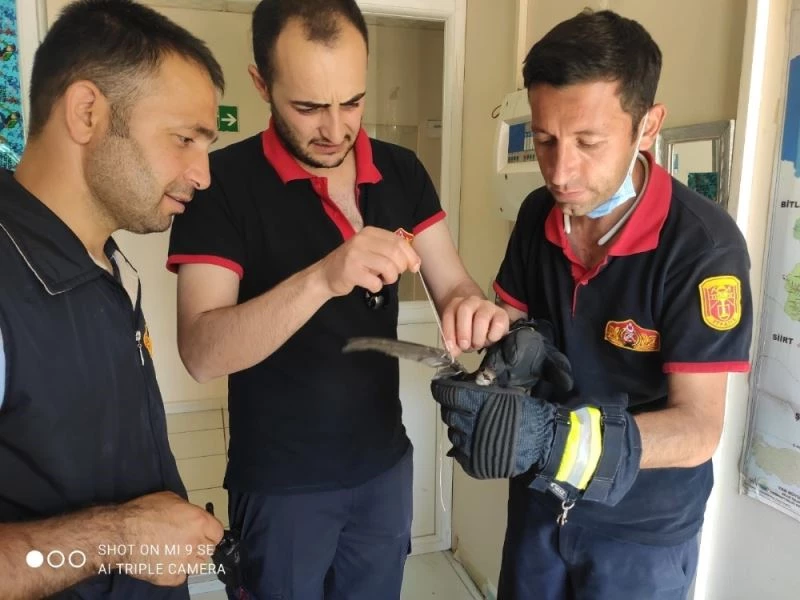 Kanatlarına uçurtma ipi dolanan ebabil kuşu kurtarıldı
