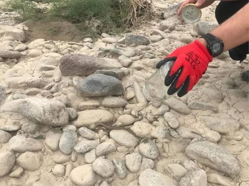 Bahçede bulunan engerek yılanı tekrar doğaya salındı
