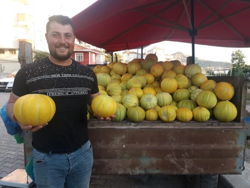 Sungurlu’nun 10 dilim kavunu tezgahlarda yerini aldı
