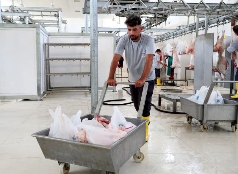 Mersin’de 24 mobil kesim ünitesi, 8 mezbaha hizmet verecek
