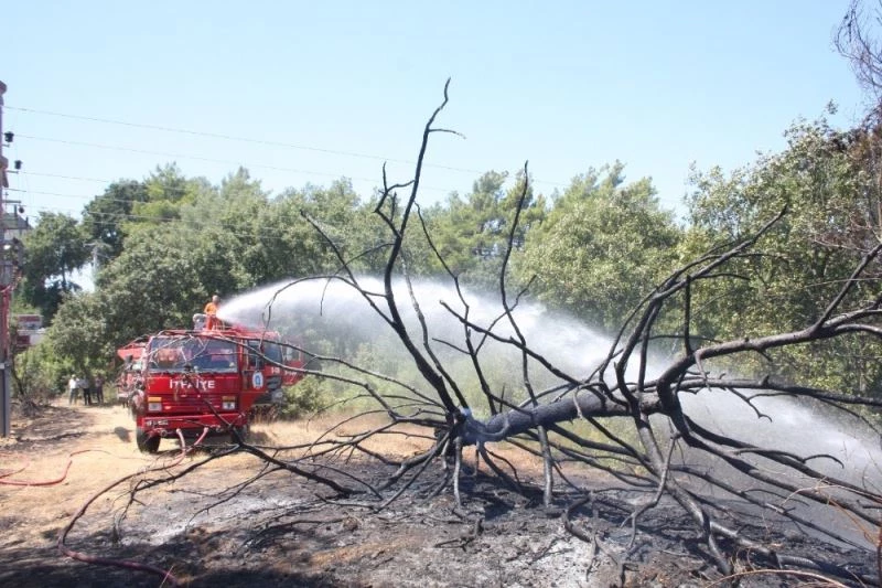 Sıcak sebebiyle aşırı yüklenen trafo yangına sebep oldu
