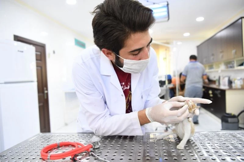 Motor kaputuna sıkışan yavru kedi uzun çabalar sonrası kurtarıldı
