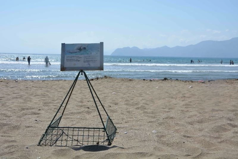 İztuzu’nda yuva rekor sayıya ulaştı
