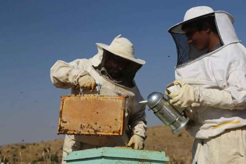 Elazığ’da Samyeli bal rekoltesini düşürdü
