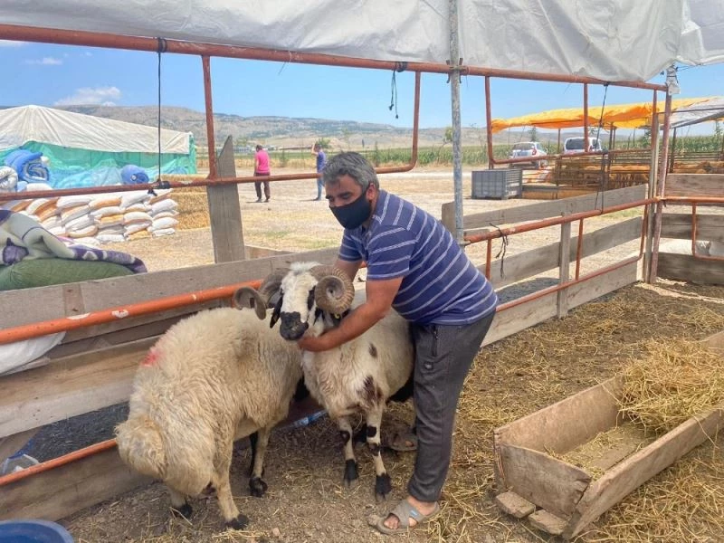 Kurban satıcılarının umudu son günler
