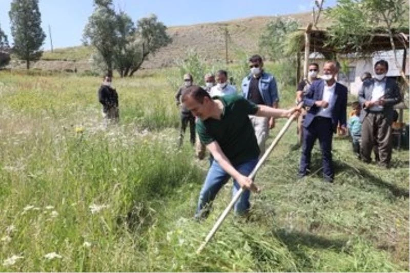Vali Akbıyık, ziyaret ettiği köyde tırpanla ot biçti

