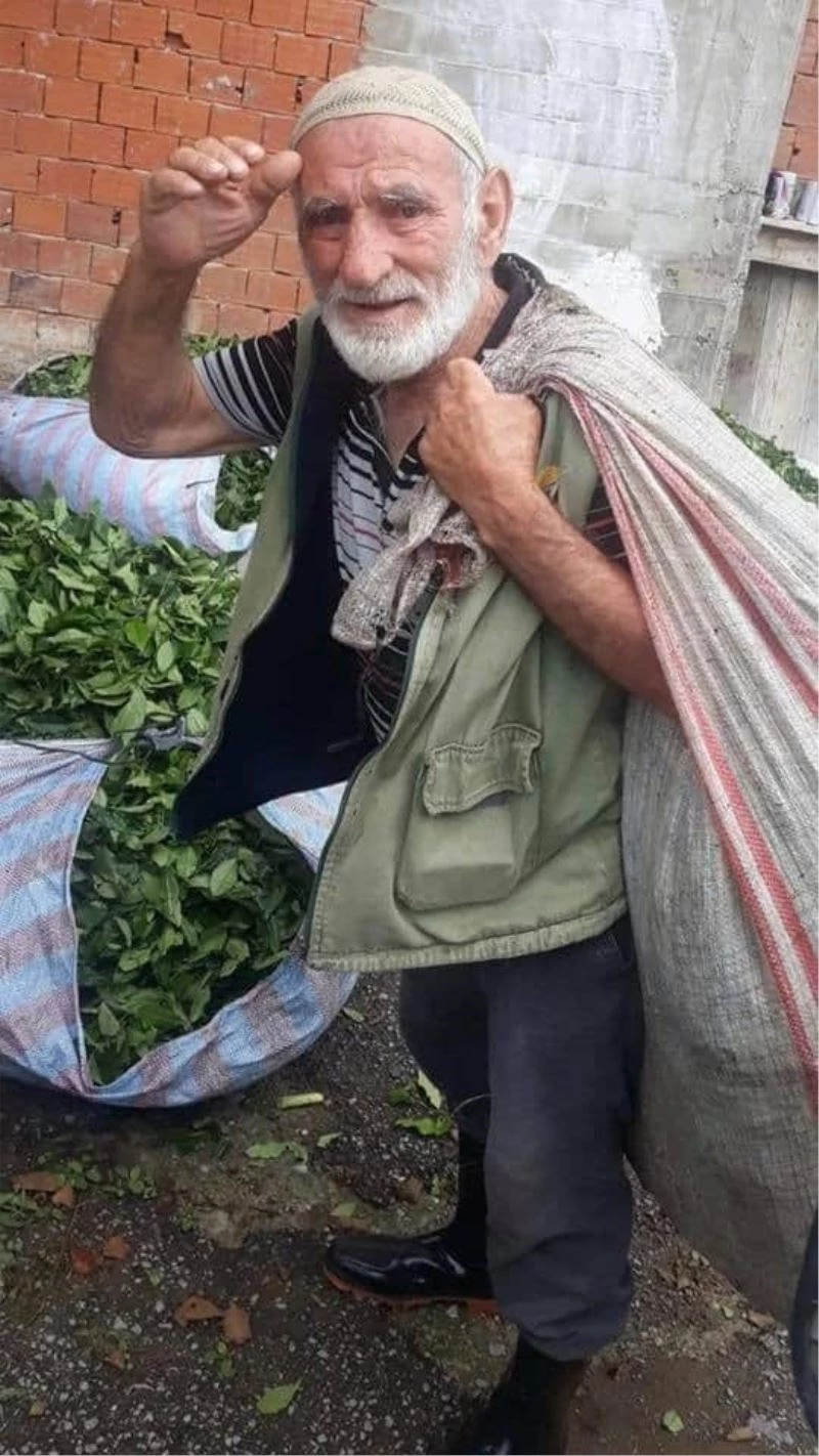 Arı sokması sonucu hayatını kaybetti
