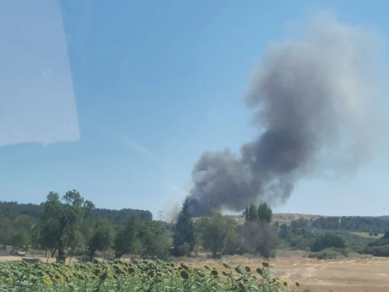 Tarihi Gelibolu Yarımadası yine alevlere teslim oldu
