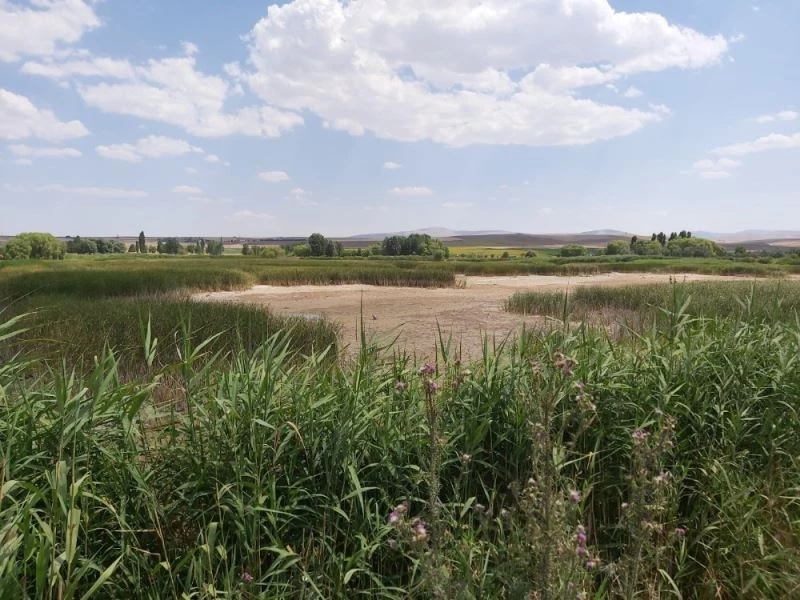 Yanlış sulama akarsuyu kuruttu
