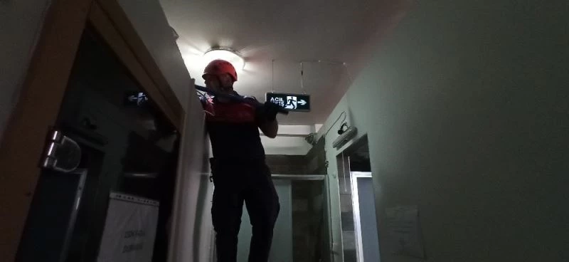 Yavrularının yanına ulaşamayan kedinin yardımına itfaiye koştu
