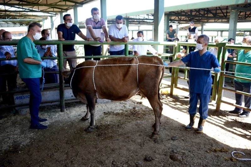 Malatya’da bayram öncesinde geçici pazarlar kurulmayacak
