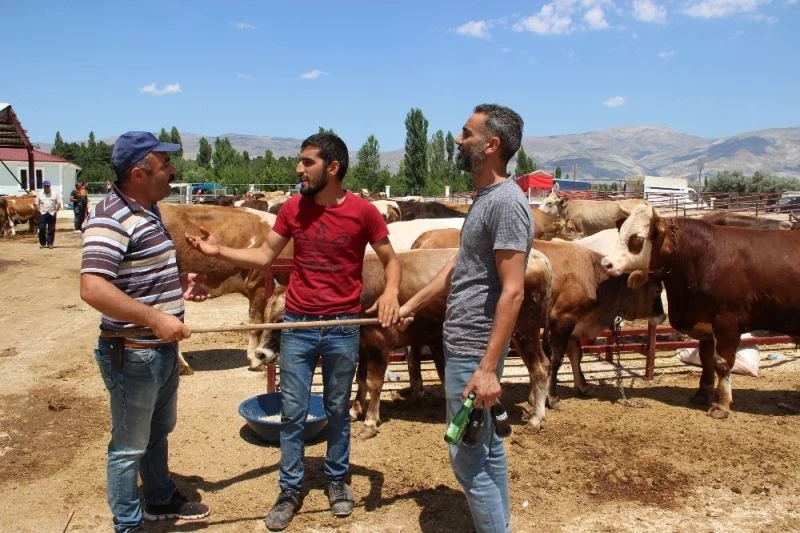 Kurban pazarlığında ’sopalı’ pazarlık dönemi
