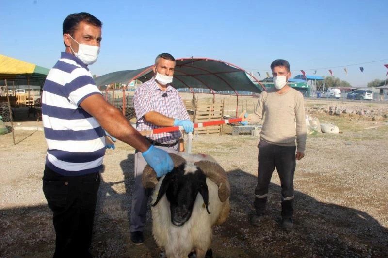 (Özel) Bu aparat gerçek pazarlığı aratmıyor
