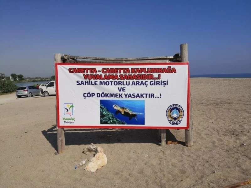 Caretta caretta yuvalarını korumak için kazılan hendekler de yetersiz kaldı, tedbirler artırıldı
