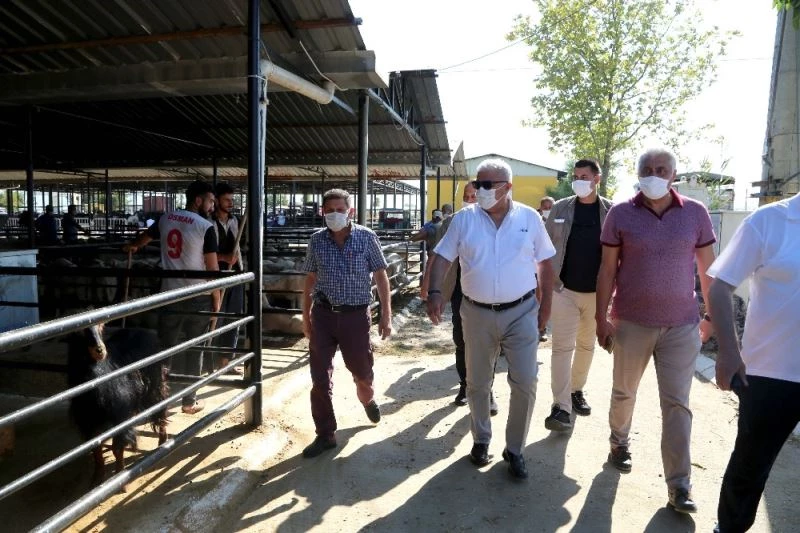 Başkan Atay, hayvan pazarlarını denetledi
