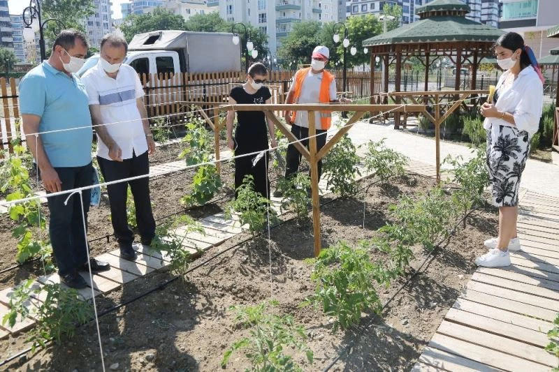 AtaTohum Merkezi Karadeniz’e örnek oldu
