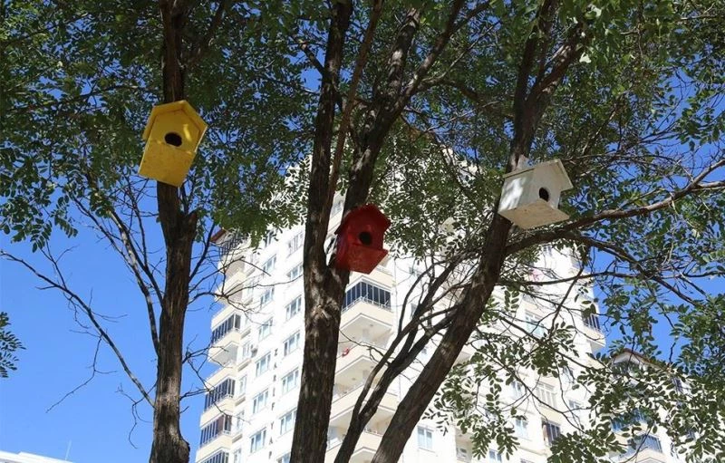 Kuşların yuvasını Şahinbey Belediyesi yapıyor
