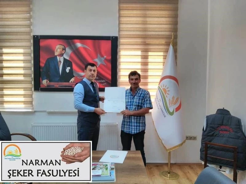 Narman şeker fasulyesi tescil edildi
