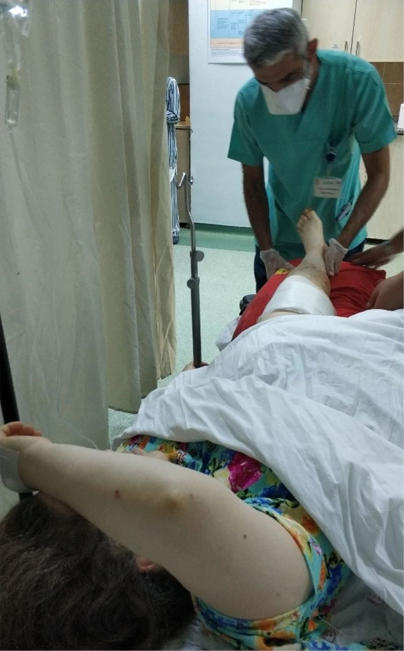 Tilkiye ateş etmek isterken kazara annesini vurdu
