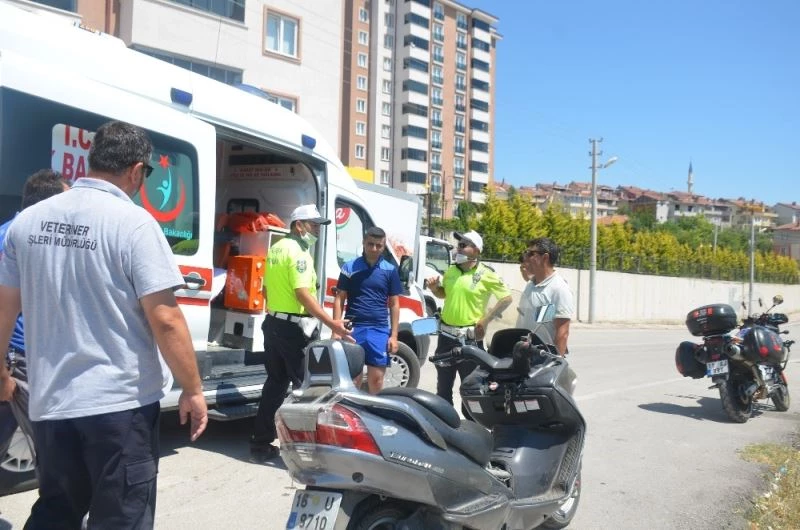 Panik yapıp motosikletini deviren sürücü yaralandı
