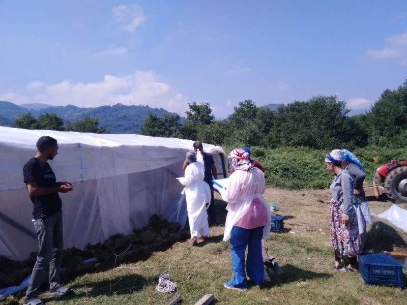 Mevsimlik fındık işçileri pandemi dolayısıyla sağlık kontrollerinden geçirildi
