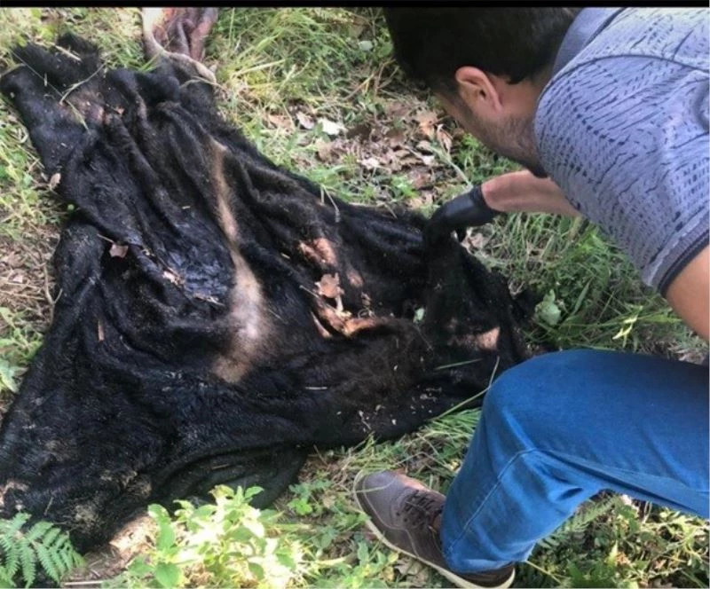 Jandarma adım adım iz sürdü, hırsız kasabı böyle yakaladı
