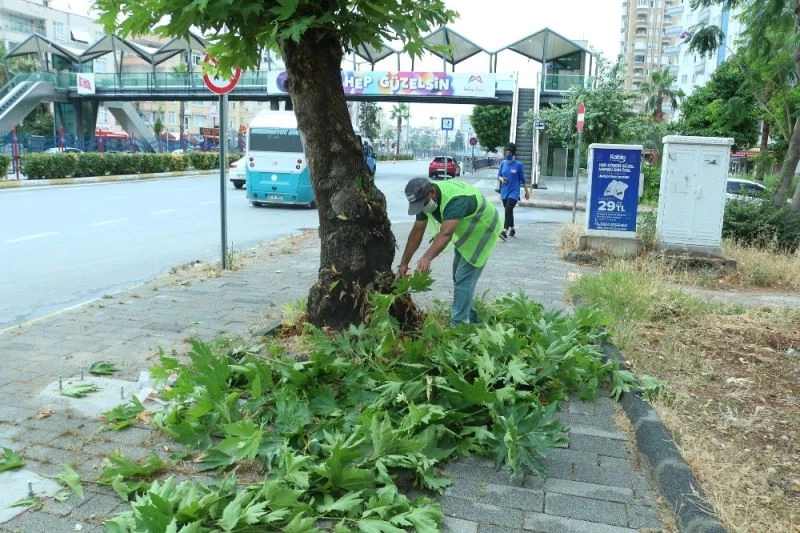 Büyükşehir Belediyesi, kenti daha da güzelleştirmek için yeni ekipler kurdu
