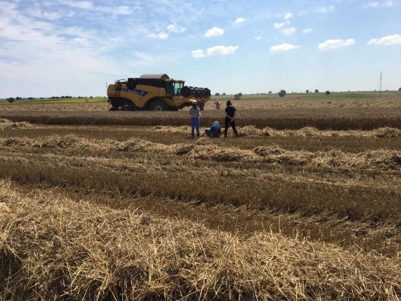 Hasatta dane kaybına geçit yok
