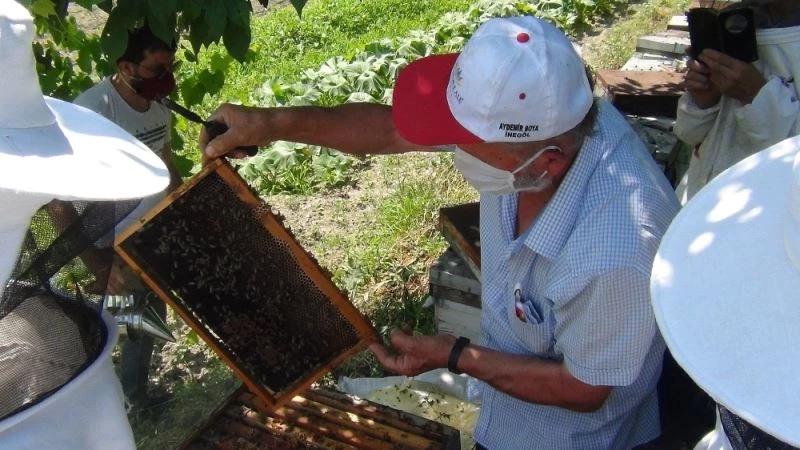 Arıların içine girdiler, eğitimi hem teorik hem pratik yaptılar
