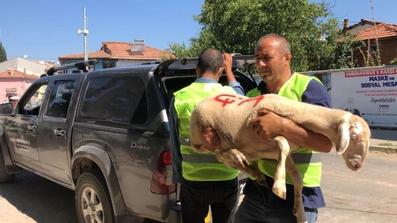 Sındırgı Belediyesi hayra köprü oldu
