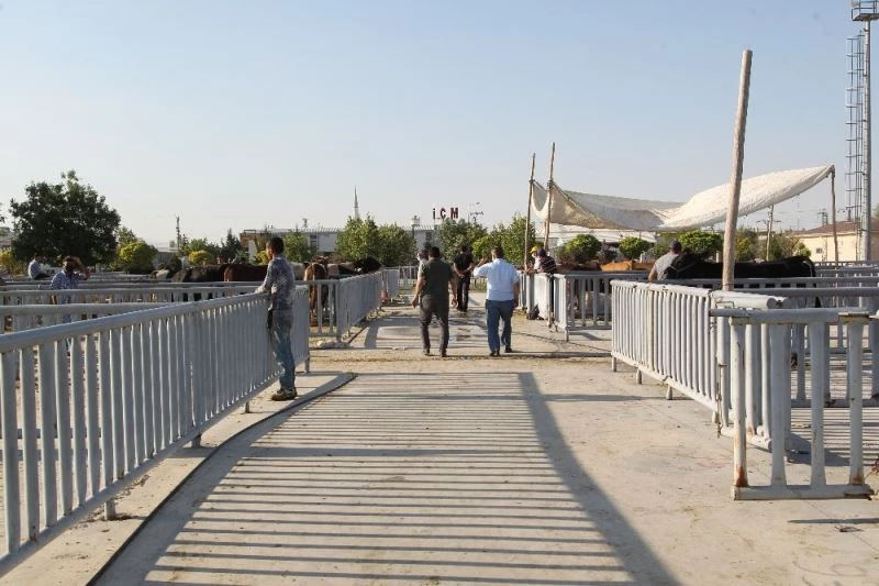 Konya’da kurban pazarında pandemi sakinliği
