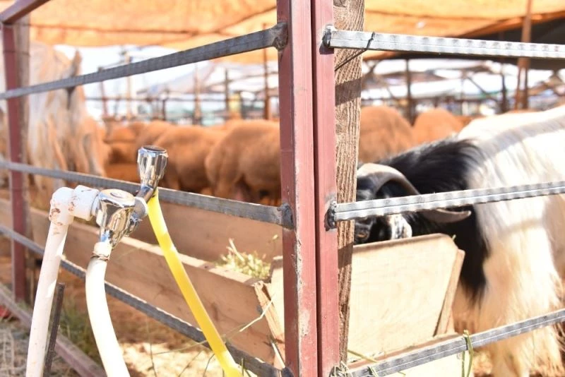 MESKİ, kurban kesim yerlerine içme suyu hattı bağlantılarını tamamladı
