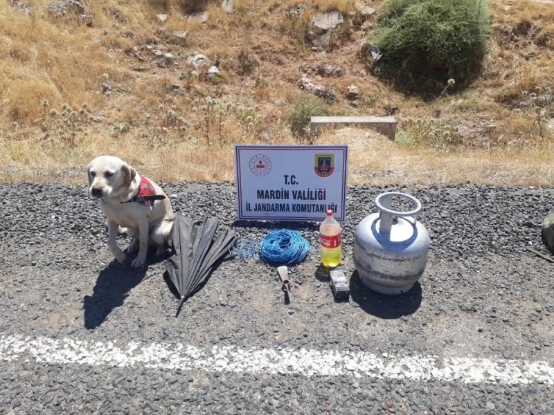 Hainler bayramı kana bulayacaktı
