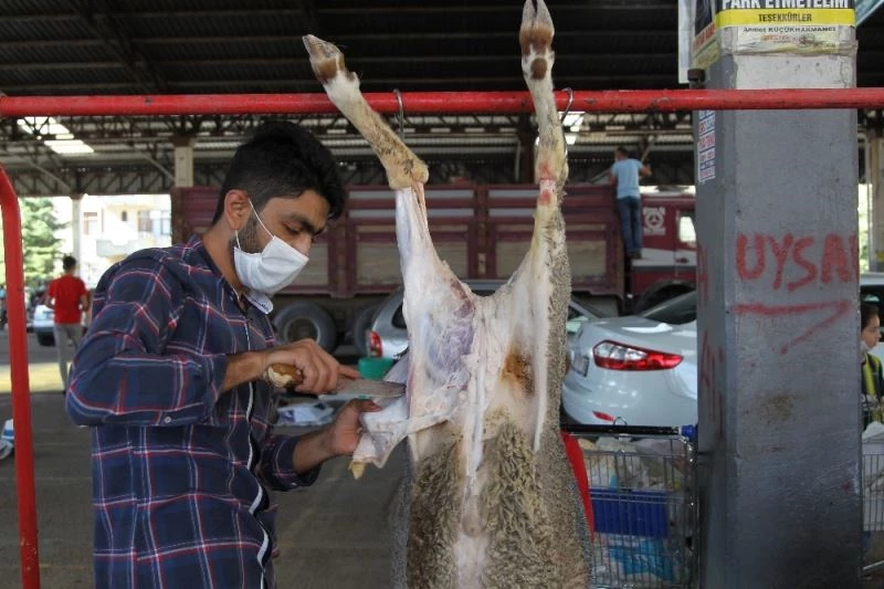 Konya’da kurban kesim yerlerinde pandemi sakinliği
