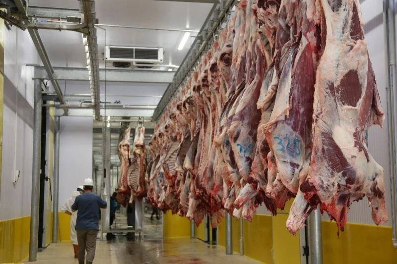 Kurbanlık hayvanını hijyenik ortamda kestirmek isteyen vatandaşlardan mezbahalara yoğun ilgi
