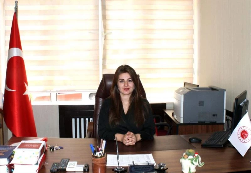 Gülnar Adliyesine atama