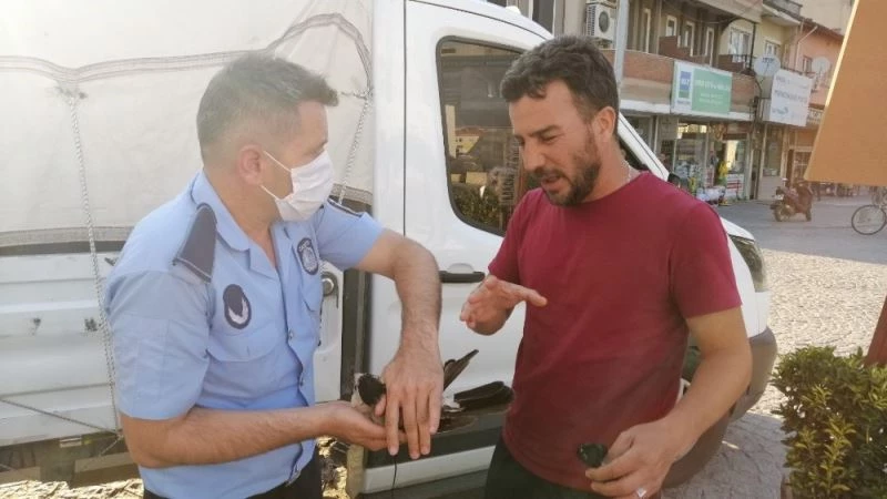 Yaralı kuşa Sındırgı Belediyesi sahip çıktı
