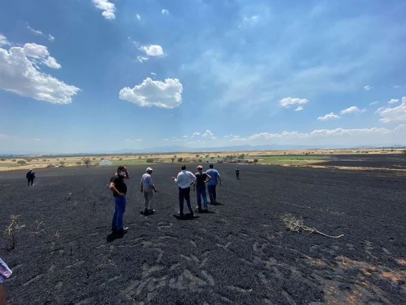 Ekin yangınında mahsuller zarar gördü
