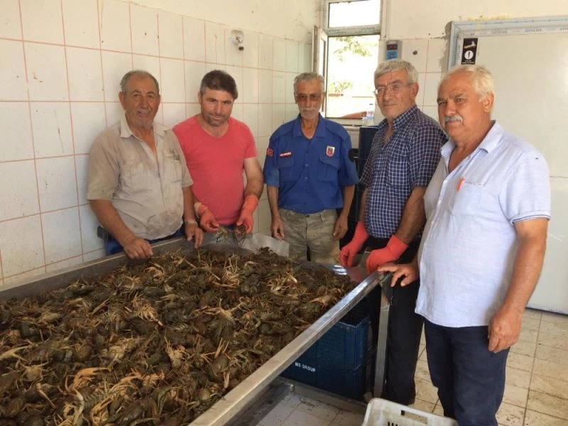 Eğirdir gölünde Kerevit bereketi
