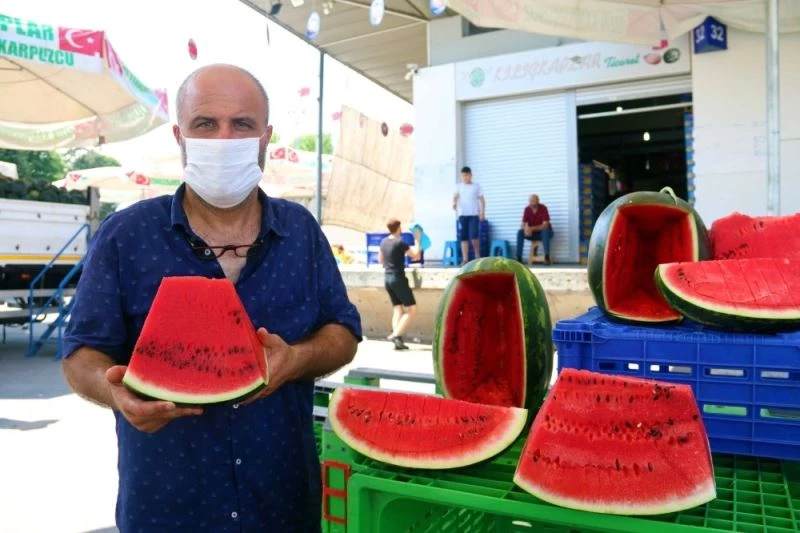 Doğu Marmara’nın karpuzları Kocaeli’den gidiyor
