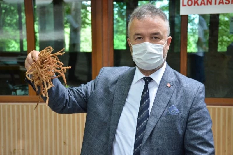 “Nebiyan” Samsun’un parlayan yıldızı
