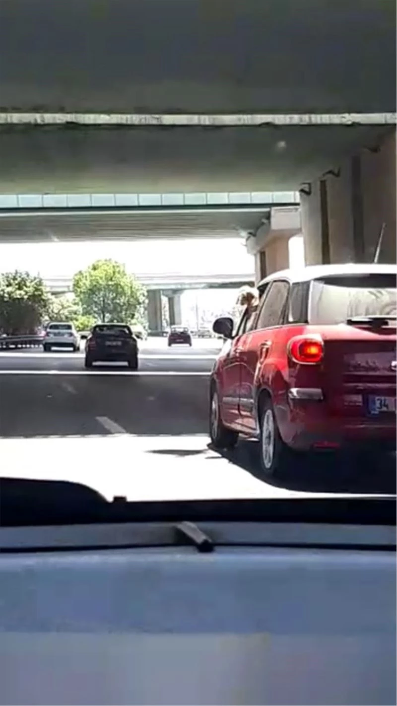 Kadın sürücünün davranışı diğer sürücüleri çileden çıkardı
