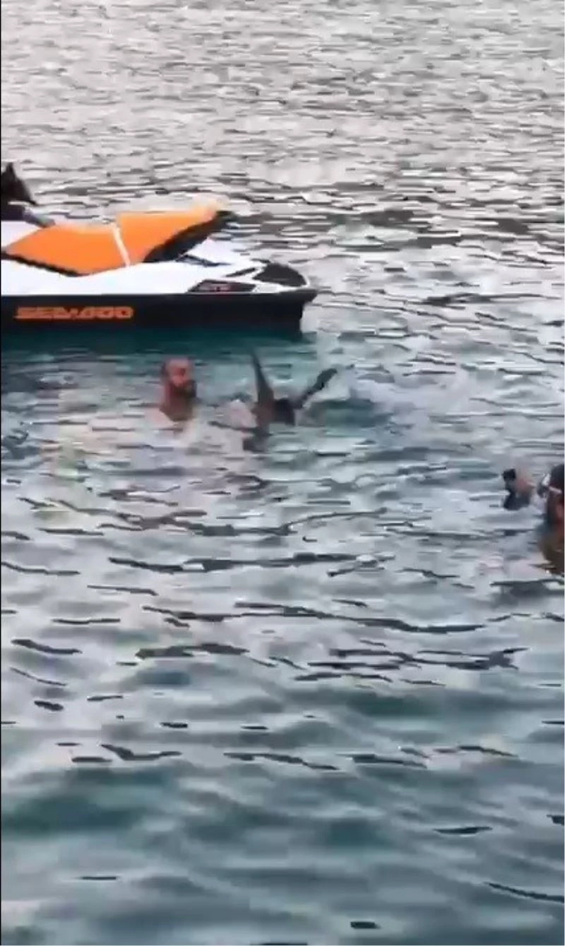 Caretta Carettaya fotoğraf eziyeti
