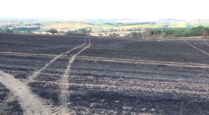 Tekirdağ’da 200 dekar alandaki anızlar kül oldu
