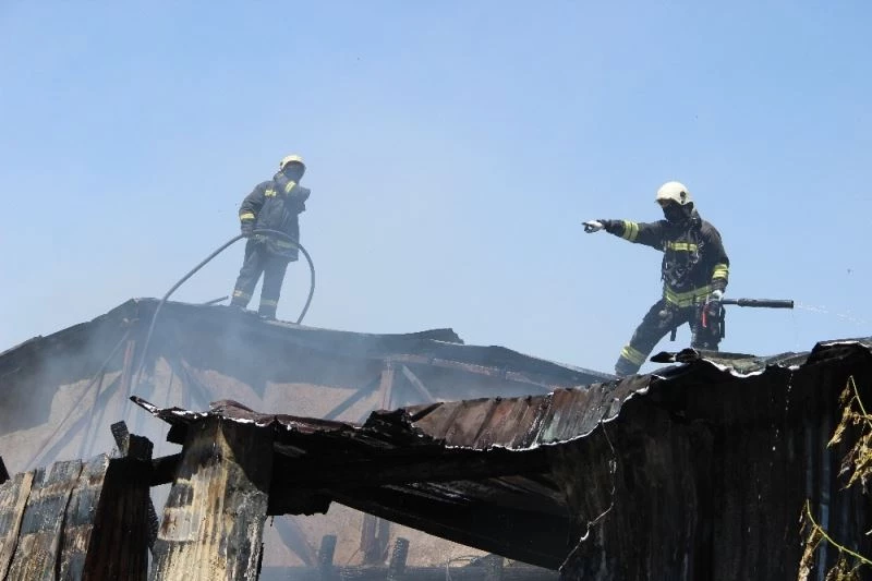 Alevler hurdalığı kül etti, dumanı itfaiye ekiplerini etkiledi
