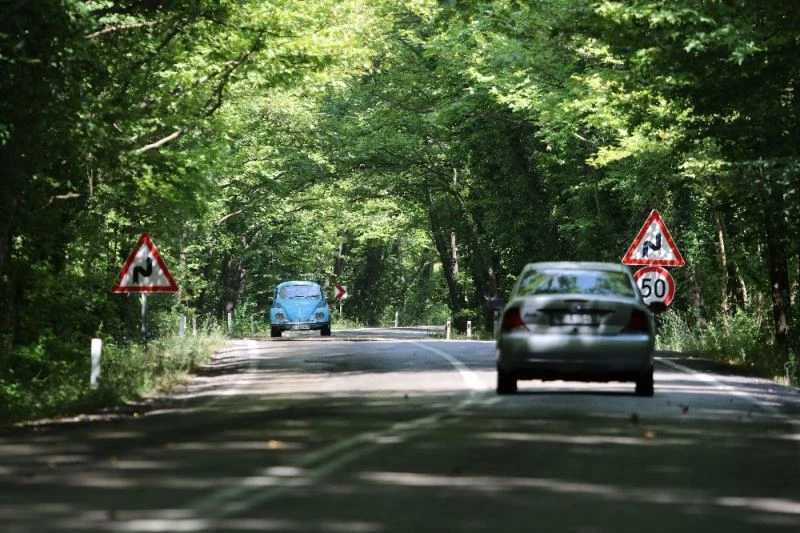 (Özel) Doğal ağaç tünelli yol kendisine hayran bırakıyor
